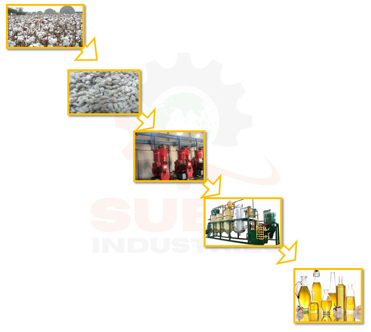 Cotton Seed Oil Mill