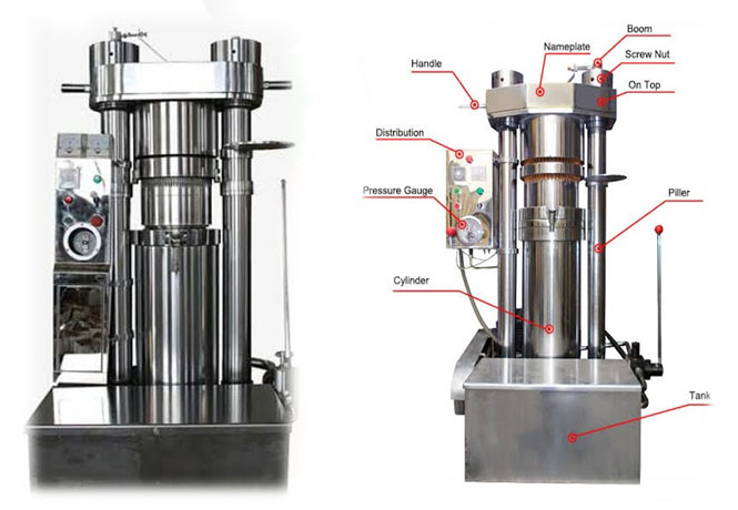 Hydraulic Press Oil Extraction Machine