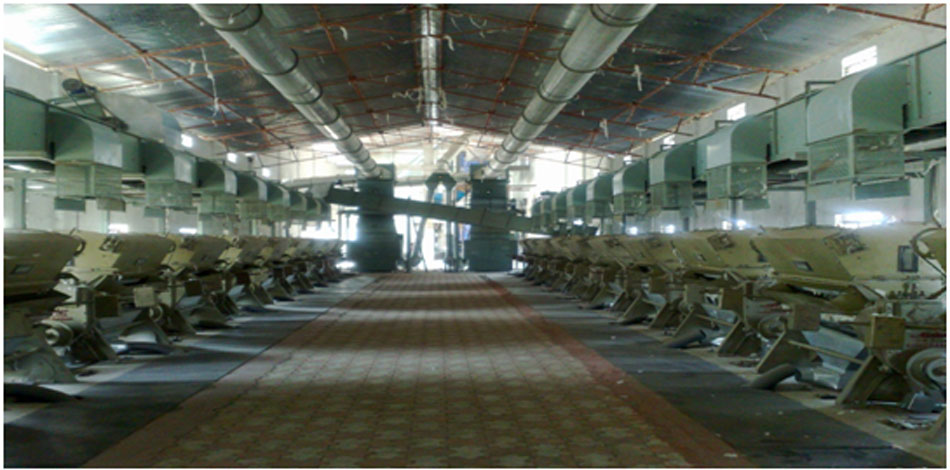 Cotton Ginning Plant